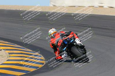 media/Nov-06-2022-SoCal Trackdays (Sun) [[208d2ccc26]]/Turn 10 Backside (1030am)/